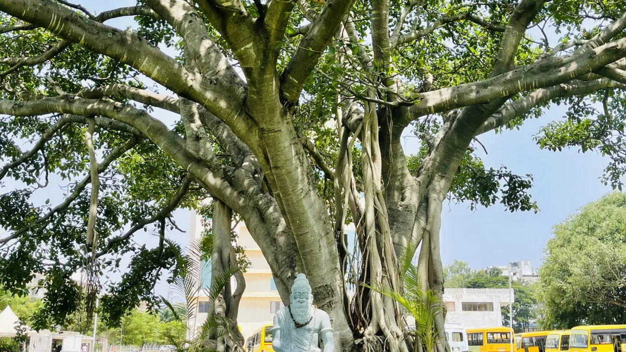 Green space on the Vydehi campus