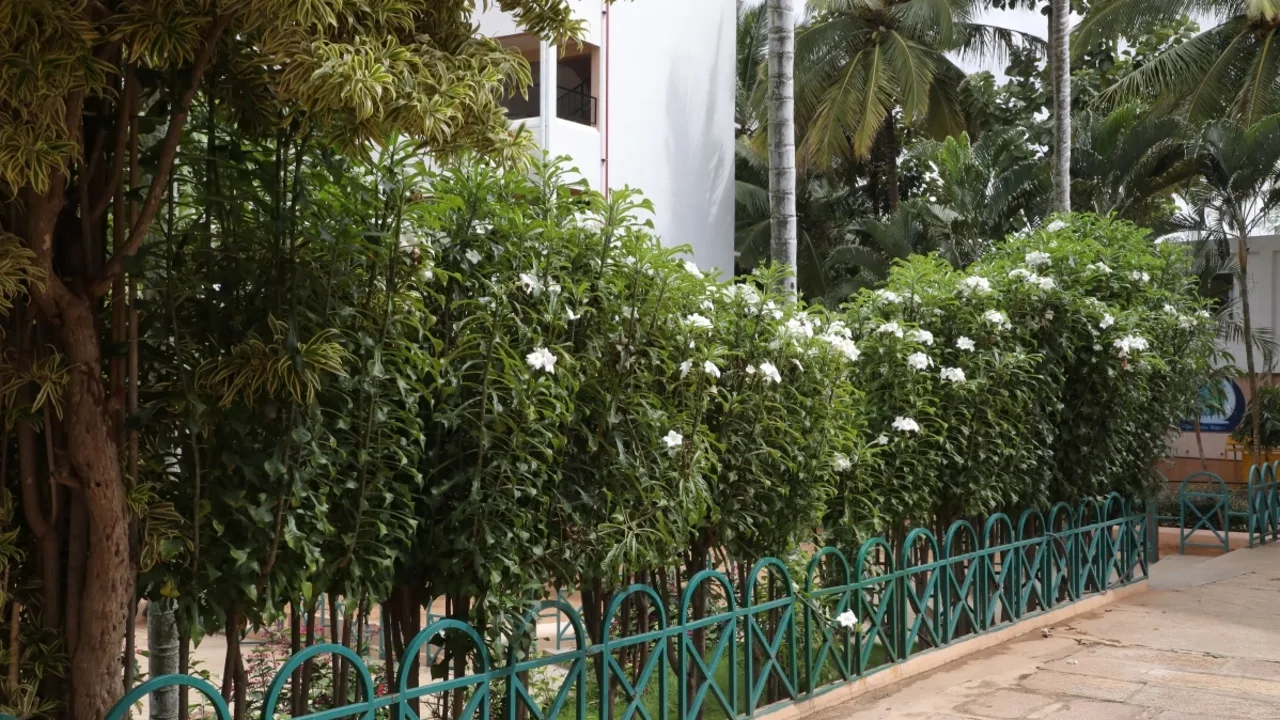 The campus at Vidyaniketan Public School, Ullal