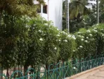 The campus at Vidyaniketan Public School, Ullal